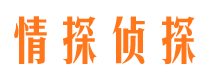 红安侦探社